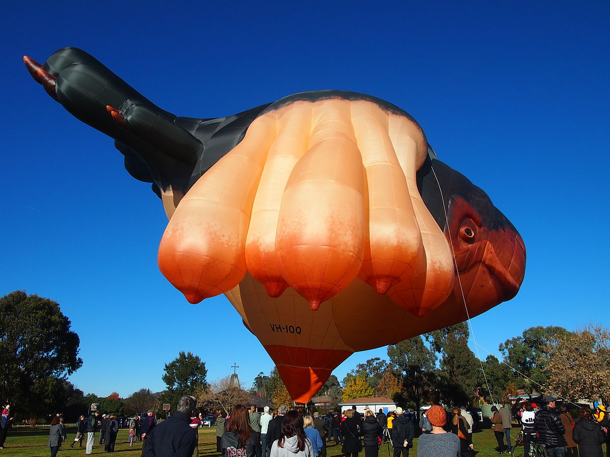 The Skywhale - Wikipedia