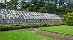 The old greenhouse range, Walled Garden, Caprington Castle, Riccarton, Ayrshire.jpg