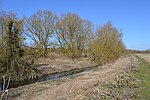 Thorley Wash nature reserve