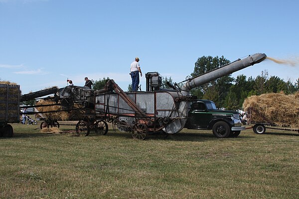 A threshing machine in operation