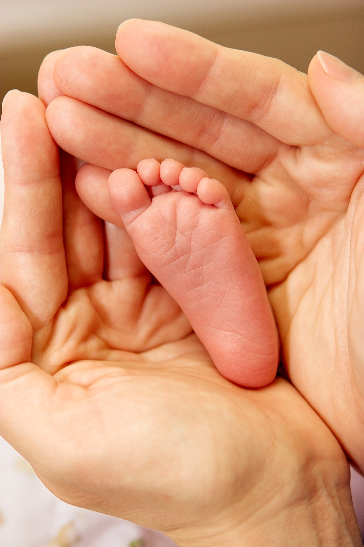 File:Newborn-Baby-Feet.jpg - Wikipedia