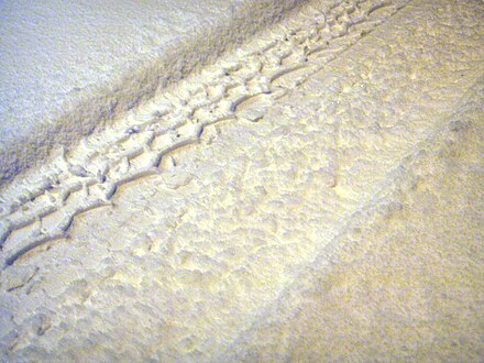 Tire tracks dug into the snow—be careful or you will get stuck!