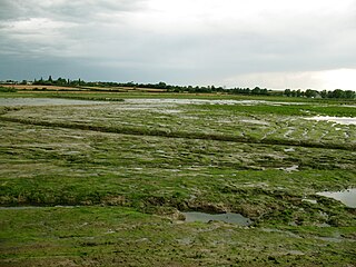 <span class="mw-page-title-main">Managed retreat</span> The purposeful, coordinated movement of people and buildings away from risks