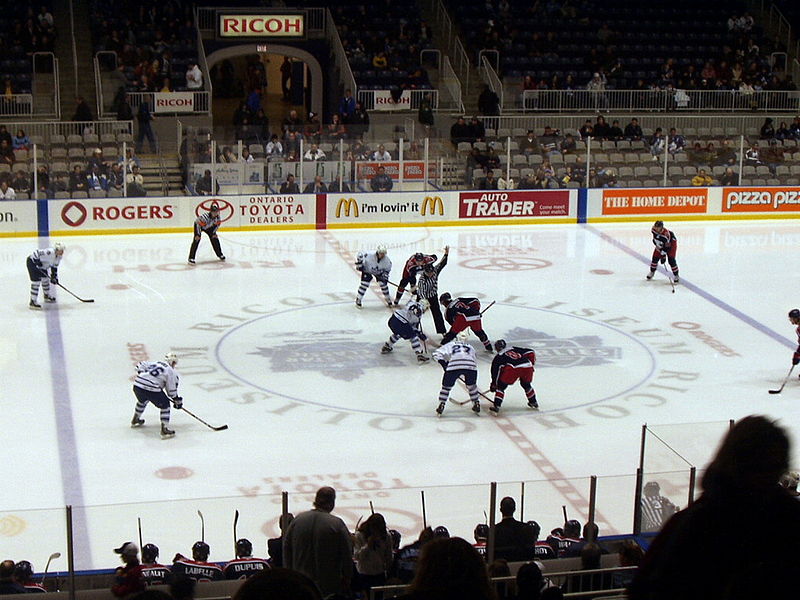 File:Toronto Marlies faceoff.jpg