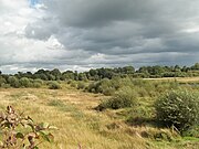 tourbières de Landemarais : autre vue depuis le chemin de découverte sur pilotis.