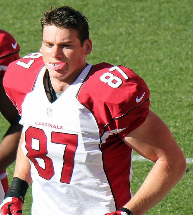 troy niklas cardinals