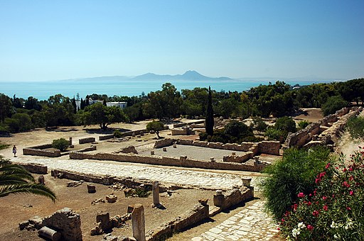 Tunisie Carthage Ruines 08