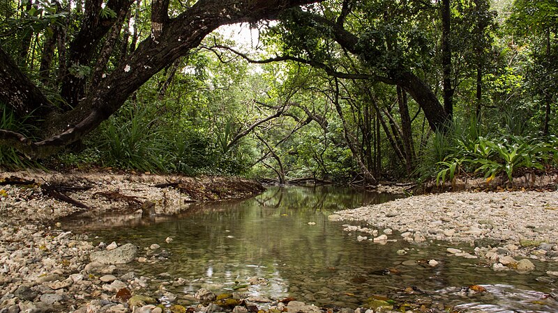 File:Ujung Kulon National Park, 2014.jpg