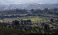 umbrische Landschaft bei Ficulle