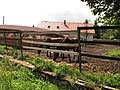 Čeština: Koně ve výběhu ve Věřicích. Okres Benešov, Česká republika. English: Horses in the run in Věřice village, Benešov District, Czech Republic.