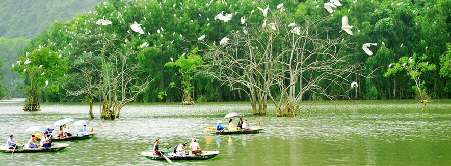 Kết quả hình ảnh cho Khu du lịch sinh thái vườn Chim Thung Nham