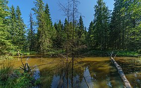 Valdai National Park asv2018-08 img05 Roschino.jpg