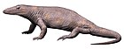 Varanosaurus NT small.jpg