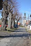 Vehlefanz old linden trees 3.jpg