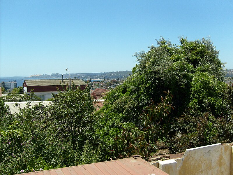 File:Viña del Mar, Valparaiso Region, Chile - panoramio (52).jpg