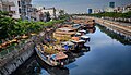 Vietnamese Floating Flowers Market (195626901).jpeg