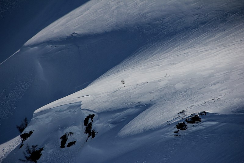 File:Voss Finnbunuten Sendedalen Bjarne Henning Kvaale 006.jpg