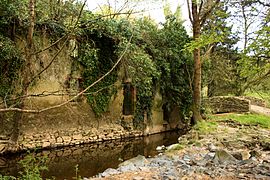 Ruines du moulin à eau.