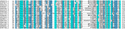Early bioinformatics--computational alignment of experimentally determined sequences of a class of related proteins; see SS Sequence analysis for further information. WPP domain alignment.PNG