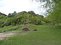 Waitaha Pa, historical site, New Zealand (2).JPG