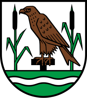 File:Wappen Moosleerau AG.svg