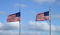 US flags near the Washington Monument, Washington DC