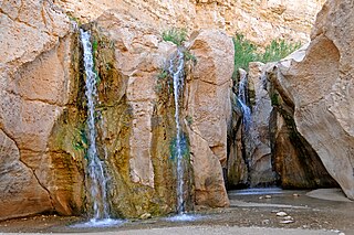 <span class="mw-page-title-main">Tamerza</span> Oasis Town in Tozeur Governorate, Tunisia