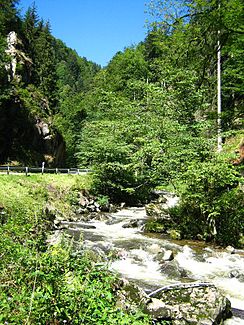 De Wehra in de kloofachtige middenloop