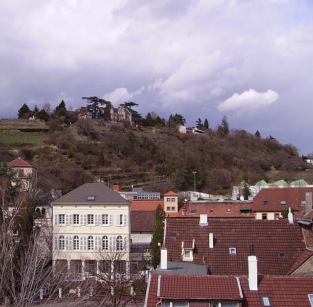 Houses on the slopes of the Haardt