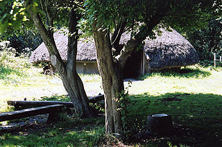 Peat Moors Centre