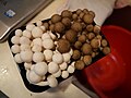 White and Brown mushrooms at home.jpg