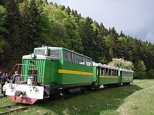 ТУ6Д of the Wyhoda forest railway