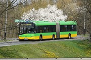 Solaris Urbino Bus