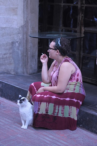 File:Woman with cat in Istanbul during Gezi Park protests.jpg