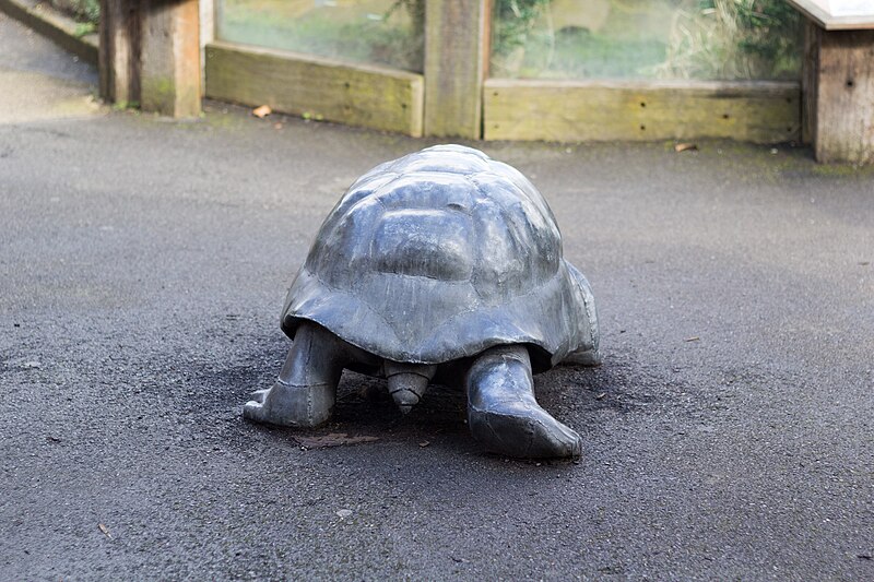 File:ZSL London - Giant Tortoise sculpture (01).jpg