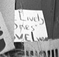 "The Lively Ones" Love Lyndon 1964 DNC 05249u.jpg