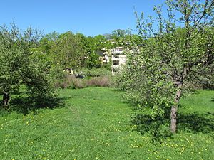 Åminnevägen, maj 2013