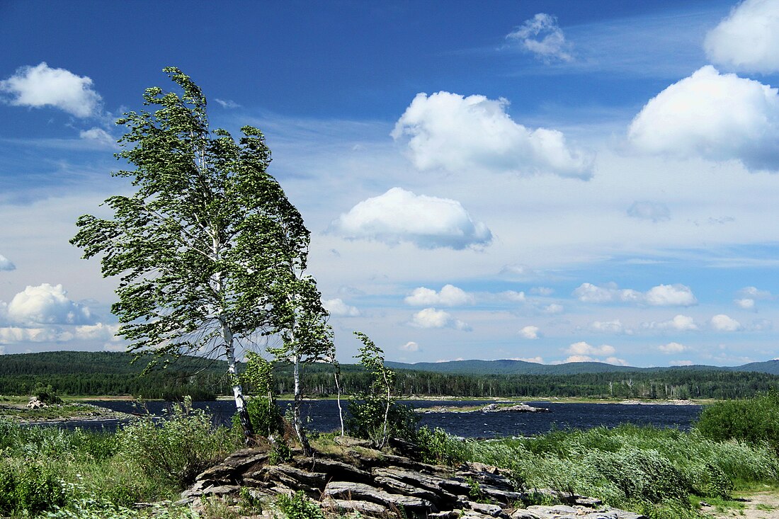 Аргаяшский район