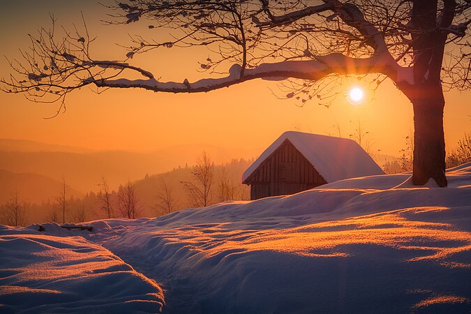 图为喀尔巴阡国家自然公园的冬季早晨，该公园位于乌克兰的伊万诺-弗兰科夫斯克州。