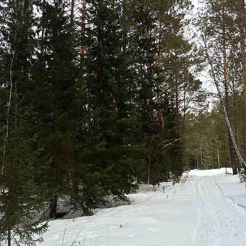 Погода дзержинское красноярский. Красноярский край Дзержинский район с Дзержинское. Канарай Дзержинского района Красноярского края. Природа Дзержинского района Красноярского края. Дзержинский район Красноярский край деревни.