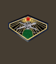 нарукавный знак 1922