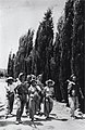 Arbeiders op de kibboets Mishmar HaEmek, 1937.