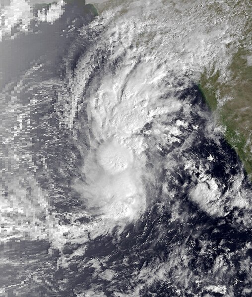 1980 North Indian Ocean cyclone season