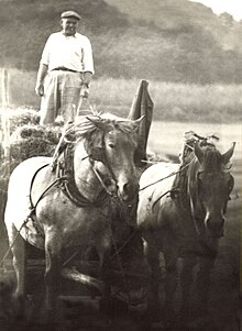 Dois cavalos de tração puxando uma carroça, liderados por um camponês de sua equipe.