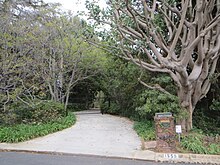 Driveway, 2014 1550 San Remo Drive Pacific Palisades.JPG