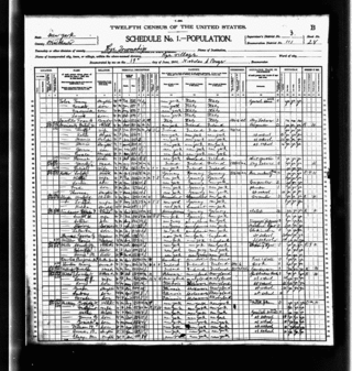 <span class="mw-page-title-main">1900 United States census</span> National census