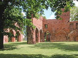 An der Klosterruine in Greifswald