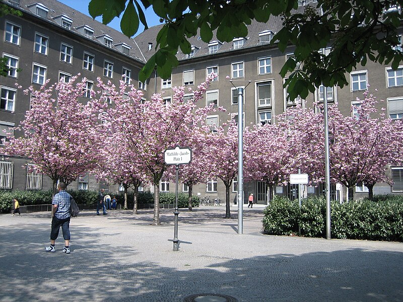 File:20060505 l xl Bezirksamt-Mitte-von-Berlin-Rathausstandort-Moabit-Mathilde-Jacob1-Platz-00471.jpg