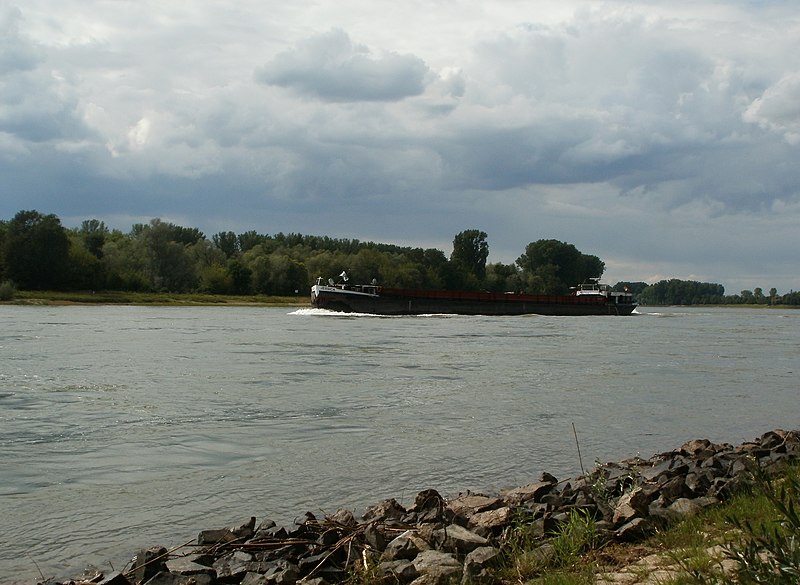 File:20110624Rhein Altlussheim3.jpg