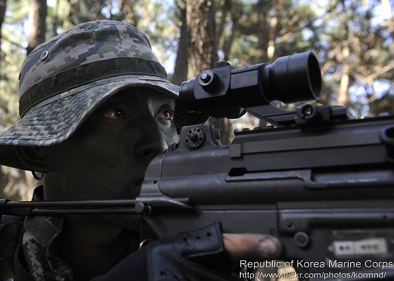 File:2012. 10. 해병대 수색정찰 훈련 Rep.of Marine Corps Reconnaissance Training (8095541287).jpg